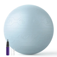 М’яч для фітнесу WCG Balance Pro 65 см Anti-Burst до 500 кг з насосом, фітбол для йоги та пілатесу, блакитний 