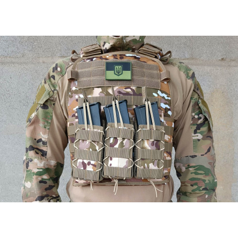 Плитоноска Pantsyr-2 (тактичний військовий жилет, бронежилет MOLLE) Multicam Arid