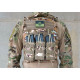 Плитоноска Pantsyr-2 (тактичний військовий жилет, бронежилет MOLLE) Multicam Arid