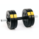 Гантелі розбірні Besport PowerPro 2х11кг