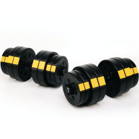 Гантелі розбірні Besport PowerPro 2х31кг