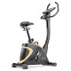 Велотренажер Hop-Sport HS-005H Host золотистий