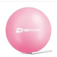 Фітбол Hop-Sport 25см рожевий