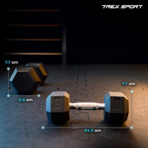 Гантеля шестигранна прогумована TX-025RD Trex Sport 2,5кг