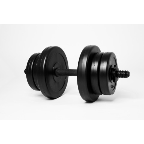 Гантель WCG 10кг