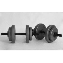 Гантелі WCG 2х8кг GREY