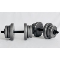 Гантелі WCG 2х10кг GREY