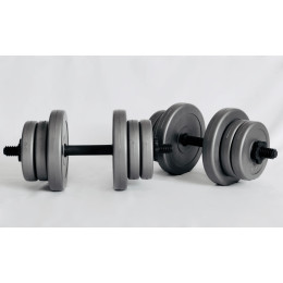 Гантелі WCG 2х10кг GREY