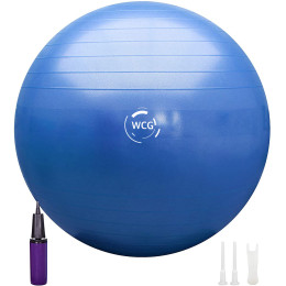 М'яч для фітнесу (фітбол) WCG 65 Anti-Burst 300кг Голубий + насос