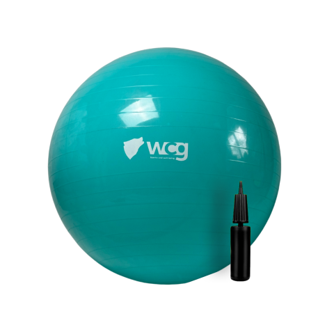М'яч для фітнесу (фітбол) WCG 65 Anti-Burst 300кг Бірюзовий + насос