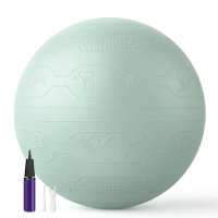 М’яч для фітнесу WCG Balance Pro 65 см Anti-Burst до 500 кг з насосом, фітбол для йоги та пілатесу, світло-зелений