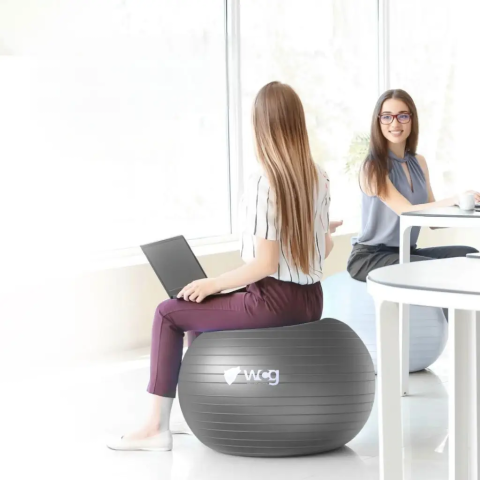 М’яч для фітнесу WCG Balance Pro 75 см Anti-Burst до 500 кг з насосом, фітбол для йоги та пілатесу, графітовий 