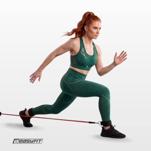 Набір еспандерів Бубновського EasyFit FlexSystem з 5 шт 