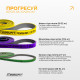 Набір резинок для підтягувань EasyFit Premium 2-32 кг (3 шт)