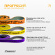 Набір резинок для підтягувань EasyFit Premium 7-45 кг (3 шт)